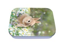 Boîte à bons points Animaux mignons Lapin - Oberthur