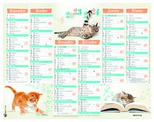 Calendrier Chatons - 7 mois par face - 21 x 26,5 cm - Oberthur