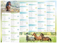 Calendrier Cheval - 7 mois par face - 21 x 26,5 cm - Oberthur