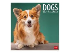 Legami - Calendrier mensuel - 30 x 29 cm - chiens