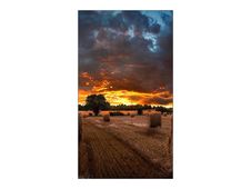 Samsung VM46B-U VMB-U Series - Ecran Led 46" - Full HD 1920 X 1080