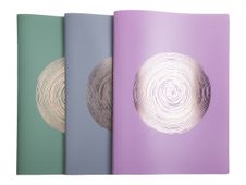 Exacompta Ellipse - Porte vues - 40 vues - A4 - timbre en or rose - gris, vert céladon, vieux rose