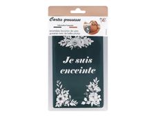 Color Pop - 13 cartes évolution grossesse - 10 x 15 cm