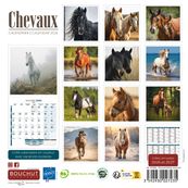 Calendrier illustré BOUCHUT 15 x 15 cm CHEVAL Pefc 70 %