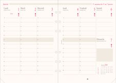 Oberthur - Recharge pour organiseur - 1 semaine sur 2 pages (semainier français) - 14,5 x 23,5 cm