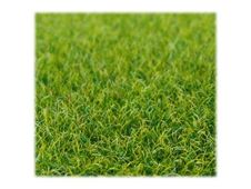 Schulcz - Tapis d'herbe pour maquette - en fibre - 30 x 40 cm - vert clair