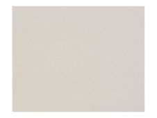 Clairefontaine - 10 Cartons gris - 80 x 120 cm - 1300 g/m²