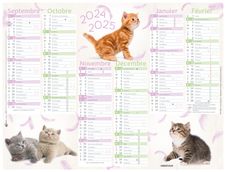 Calendrier Chaton - 6 mois par face - 40,5 x 55 cm - Oberthur