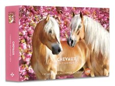 Agenda Calendrier Chevaux