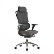 Fauteuil de bureau ERGOSTAR Ultra - accoudoirs réglables - Appui-tête réglable - noir