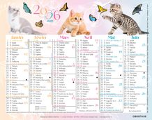 Mini calendrier illustré - 6 mois par face - 13,5 x 17,5 cm - différents modèles disponibles - Oberthur
