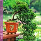 Calendrier mensuel 16x16 cm - 16 mois - Bonsaï