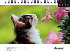 Calendrier mensuel à spirales 16x18 cm - Chats