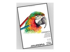 Aurora Art & Craft Steinbach - Feuille volante de papier à dessin - 550 x 730 mm - 100 pages - uni