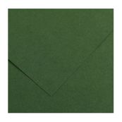 CANSON Iris Vivaldi - Papier Dessin Couleur - Lisse - 240 g/m² - Feuille - A4-21x29,7cm - Vert Sapin