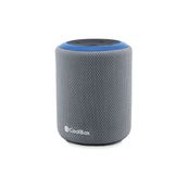 CoolBox DROP G231 - Altavoz - inalámbrico - Bluetooth - 5 vatios - gris