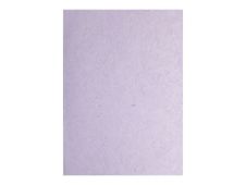 Clairefontaine - Papier - 650 x 950 mm - 10 feuilles - mauve - 25 g/m² - mulberry paper