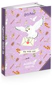 Agenda HARRY POTTER HEDWIG 12 x 17 cm - 2 modèles au choix - Kid'Abord
