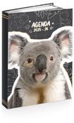 Agenda ANIMAUX FUNNY- 12 x 17 cm - 2 modèles au choix - Kid'Abord