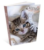Agenda RDC reliure brochée année scolaire BOUCHUT "Chaton" 1 jour /page 12 x 17 cm PEFC 70 %
