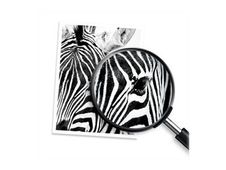 HP 925 - jaune - cartouche d'encre originale (4K0V8PE)