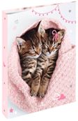 Classeur A4 dos 40 chaton tendre duo - 25 x 32 cm - Oberthur