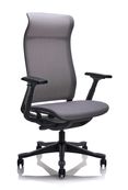 Fauteuil de bureau RX243 - noir