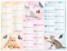 Oberthur C- Calendrier Chatons - 6 mois par page - 430 x 335 mm - daté