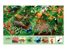 Cherche et Trouve les animaux de Guyane - livre d'images