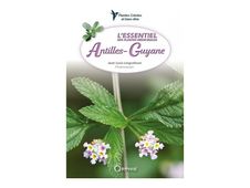 L'essentiel des plantes médicinales Antilles-Guyane - par Longuefosse Jean-Louis - livre
