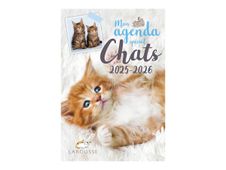 Larousse - Agenda scolaire - 2025-2026 - 1 jour par page - 131 x 190 mm - 320 pages - chats