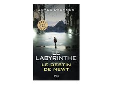 Le Labyrinthe : Le destin de Newt
