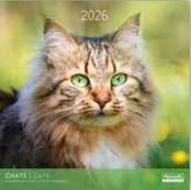 Calendriers 30x30cm 16 mois Aquarupella - Chats