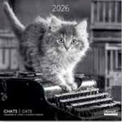 Calendriers 30x30cm 16 mois Aquarupella - Chats N&B