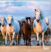 Calendriers 30x30cm 16 mois Aquarupella - Chevaux