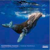 Calendriers 30x30cm 16 mois Aquarupella - Mammifères marins