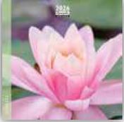 Calendrier 16x16cm 16 mois Aquarupella - Pastel