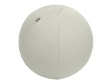 Leitz Ergo - Ballon d'assise ergonomique - Diamètre 55cm - Gris clair