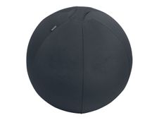 Leitz Ergo - Ballon d'assise ergonomique - Diamètre 55cm - Gris foncé