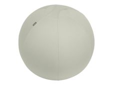 Leitz Ergo - Ballon d'assise ergonomique - Diamètre 65cm - Gris clair