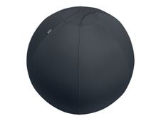 Leitz Ergo - Ballon d'assise ergonomique - Diamètre 75cm - Gris foncé