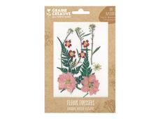 Graine Creative - Fleurs séchées (pack de 13)