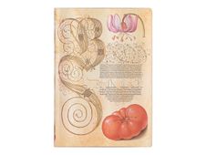 Paperblanks Mira Botanica - Flexi - reliure piquée - midi - 130 x 180 mm - 88 feuilles / 176 pages - lined - lily & tomato - beige
