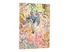 PAPERBLANKS FLEXIS WILLIAM KILBURN - Carnet flexi couverture souple - midi 120 x 175 mm - 176 pages lignées - Anemone multicolore