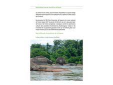 Guide pratique de terrain: Faune et flore en Guyane - Une initiation à la biodiversité amazonienne - par Delétraz François