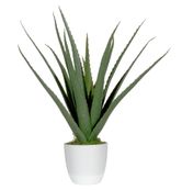Plante artificielle ALOE VERA - 45cm