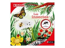 Les Insectes - Kididoc - Livre animé - Dès 6 ans