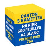 Papier blanc - A4 - 75g/m² - 2500 feuilles (carton de 5 ramettes)