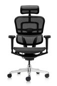 Fauteuil de bureau ERGOHUMAN Ultra - Assise résille - noir