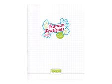 Calligraphe 8000 - Cahier polypro de travaux pratiques (TP) - 24 x 32 cm - 96 pages - grands carreaux (Seyes)/uni - transparent